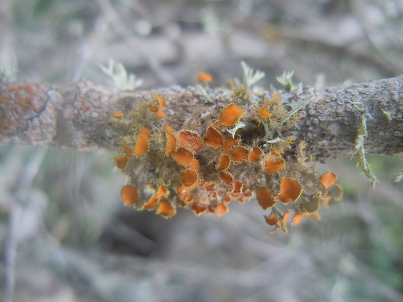 ....da Monte Moro (OT)